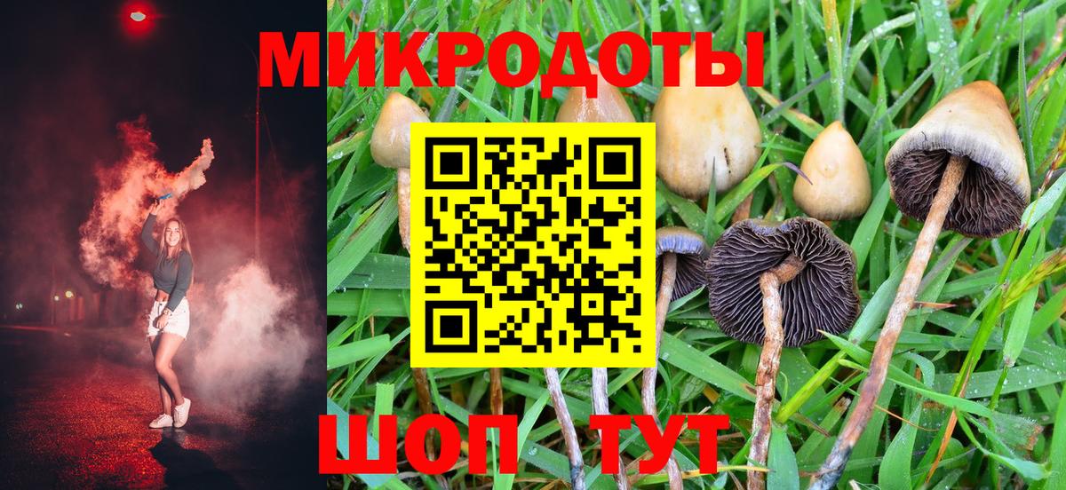 Железногорск  Псилоцибиновые грибы GOLDEN TEACHER  Псилоцибиновые грибы Psilocybe  Вход с VPN 